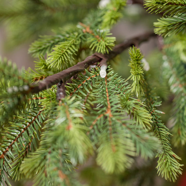 Sale Elite RealWood LED Christmas Tree – 6.5ft