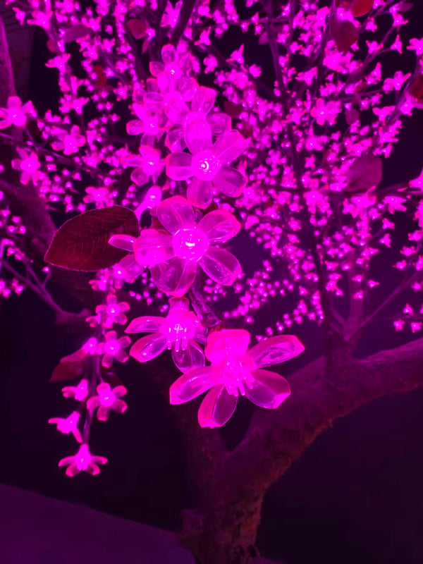 Decorative pink flowers with lights against a dark background