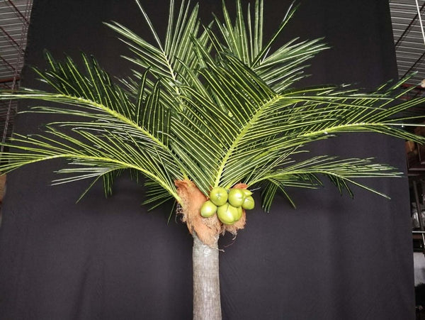 LED Coconut Tree Lights