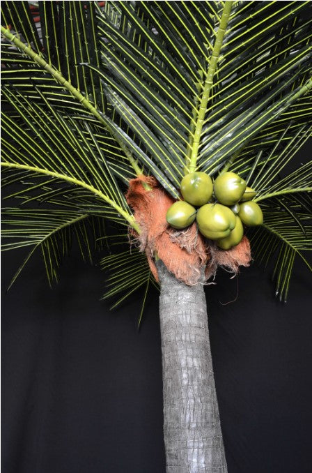 LED Coconut Tree Lights