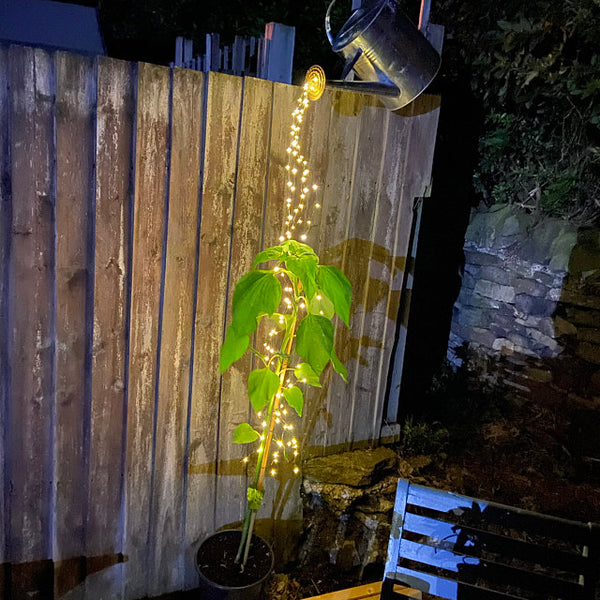 Waterfall Fairy Lights