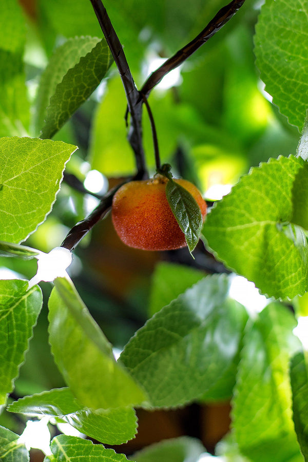 Led Tree Orange Table Flower Lamp Interior Decorative Lights