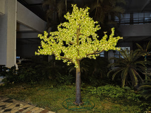 Transform Your Space with a Large Maple Tree with Green Leaves