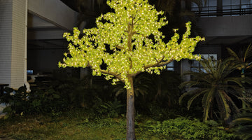 Transform Your Space with a Large Maple Tree with Green Leaves