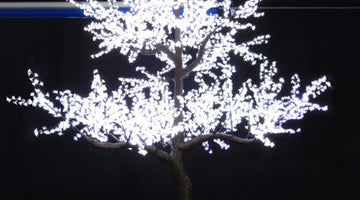 Illuminate Your Event: Why Cool White Light is the Ultimate Choice for LED Cherry Blossom Trees