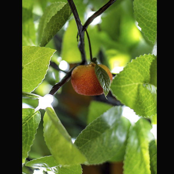 Lighting Tree Artificial Small Tree Flower lamp Orange tree+ flowers