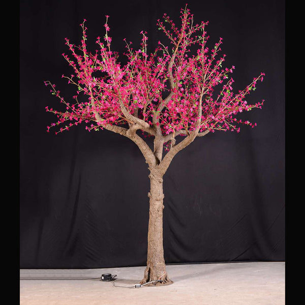 A tree for lighting the lawn in pink