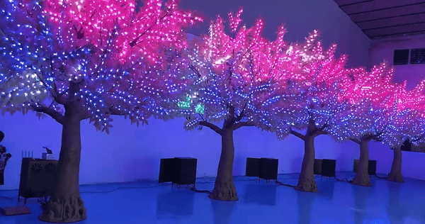 13.5ft Color-Changing LED Trees with DMX-512 Controller