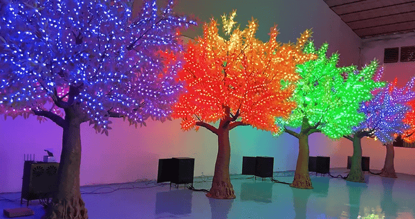 Colorful LED light trees in rainbow sequence for indoor and outdoor decor.