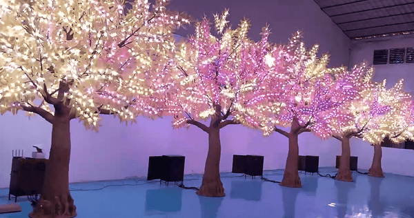 13.5ft Color-Changing LED Trees with DMX-512 Controller