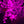Decorative pink flowers with lights against a dark background