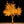 Load image into Gallery viewer, Maple LED Tree 11.5ft\ 3.5m dia 12.0ft Warm White
