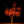 Cherry Blossom LED Tree 11.5ft\ 3.5m dia 12.0ft. 2496leds