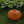 LED Pumpkin Light Dimmable  Lamp  Rechargeable Pumpkin Shape Garden Light Waterproof