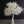 Load image into Gallery viewer, 10ft White LED Maple Tree: Premium Wedding Series for Elegant Outdoor Celebrations
