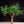 Load image into Gallery viewer, Green Maple LED Tree 11.5ft\ 3.5m dia 3.6m. 2496leds
