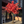 10 FT LED Artificial Tree – Red Aspen Maple or Yellow Ginkgo