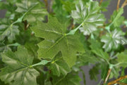 Green Maple LED Tree 11.5ft\ 3.5m dia 3.6m
