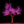 Cherry Blossom LED Tree 11.5ft. dia 12.0ft. 2496leds