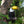 Toucan perched on a tree branch with a blurred green background