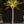 led coconut tree 3.0M/10.0 FT