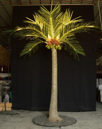 led coconut palm tree light price LED Coconut Tree 3.0m/10.0 ft - Buy Online
