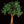 Load image into Gallery viewer, 9ft tall LED Tree with Green Light and Green Maple
