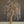 Additional set of branches for the willow tree