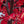 A close-up of a red artificial tree with bright red leaves and dark brown branches, photographed tightly with some leaves blurred in the foreground.