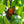 Blooming LED Artificial Tree Flower lamp Orange