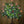 Blooming LED Artificial Tree Flower lamp Orange