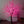 led trees outdoor/indoor use 6.5ft/2.0м 1188leds 8