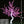 Christmas Tree Indoor and Outdoor use Pink