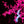 Artificial led trees. Christmas Tree  Indoor and Outdoor use Pink