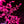 Artificial led trees. Christmas Tree  Indoor and Outdoor use Pink