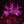 Cherry blossom lighted tree 6.5ft/2.0м 1188leds 9 Color Option