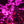 Cherry blossom lighted tree 6.5ft/2.0м 1188leds 9 Color Option