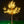 Warm White LED outdoor lighted cherry blossom