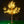 Red LED Outdoor Lighted Cherry Blossom Tree 13ft/3.8м 2970leds