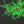 Fruite LED Tree outdoor/indoor use 9.5ft/2.8м 2484leds