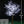 LED Bonsai lighted tree 8.2ft/2.5м 1944leds Multi-color LEDs  RGB
