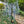 Yellow LED weeping willow tree 6.0ft/1.8m rainproof outdoor lighting
