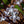 LED Tree Light lamp Sakura with white  flowers and green leaves