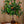 Blooming LED Artificial Tree Flower lamp Orange