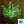 Led tree orange table flower lamp interior decorative lights