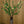 LED branchs Table Flower lamp Led lights Warm-White flowers+ Green leaves