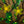 LED branchs Table Flower lamp Fairy lights Green leaves+ Yellow flowers