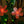 LED branchs Flower lamp Fairy lights Pink flowers+ Green leaves