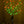 LED branchs Flower lamp Fairy lights Pink flowers+ Green leaves