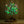 LED tree Lamp Green Soft Leaves and Pink Flower lamp